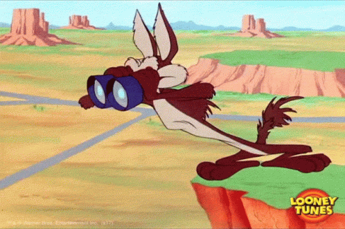 Coyote with Binoculars Looney Tunes
