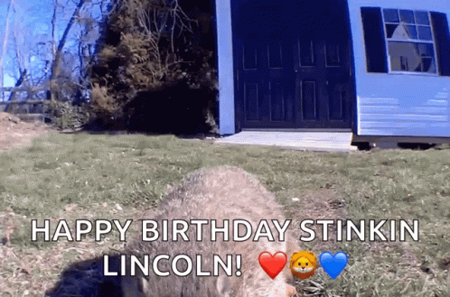 Coyote With Happy Birthday Lincoln