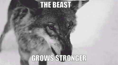 Coyote with The Beast Grows Stronger Caption