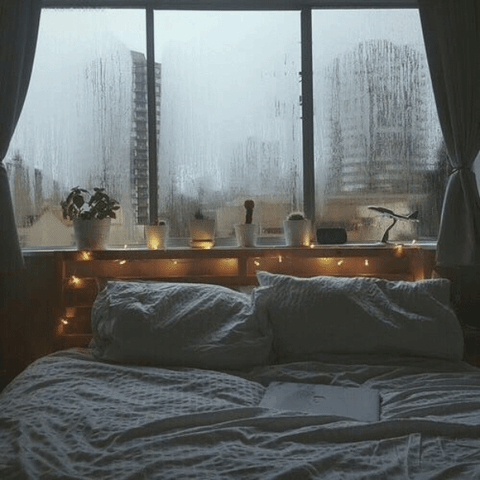 Cozy Bedroom Rainy Day GIF