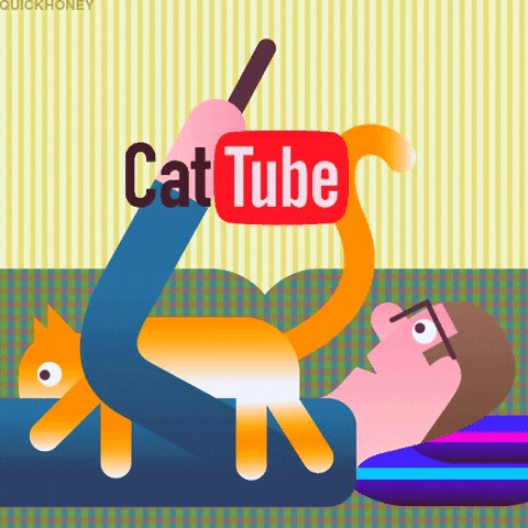Cozy Cat Tube Cute Cuddle GIF