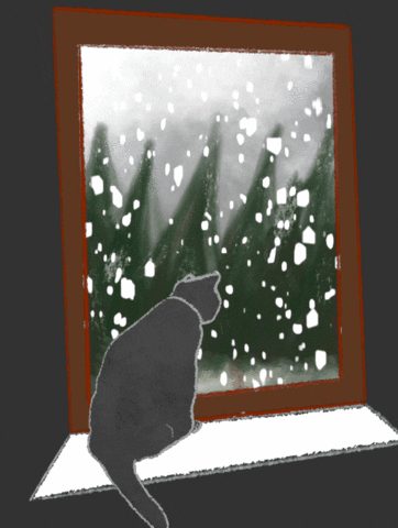 Cozy Snow Day Black Cat GIF