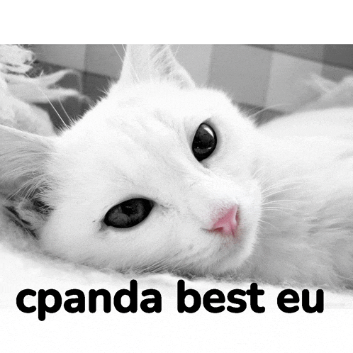 Cpanda Meme GIF