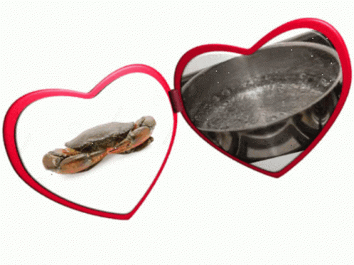 Crab and Boiling Water