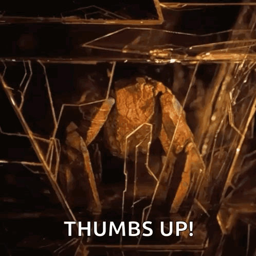 Crab Behind Broken Glass Saying Thumbs Up
