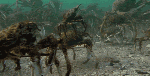 Crab Funny Underwater Ride GIF