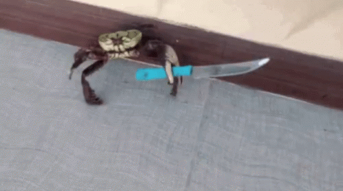 Crab Knife GIF