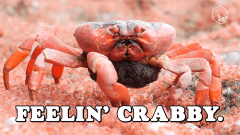Feeling Crabby Crab Rave GIF
