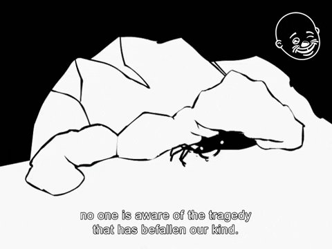 Befallen Crab Rave GIF