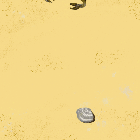 Summer Beach Crab Rave GIF