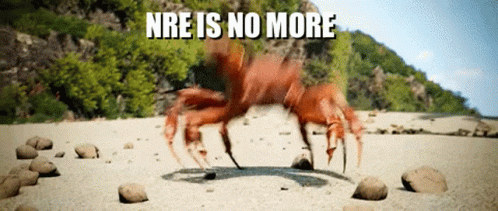 Nre Is No More Crab Rave GIF