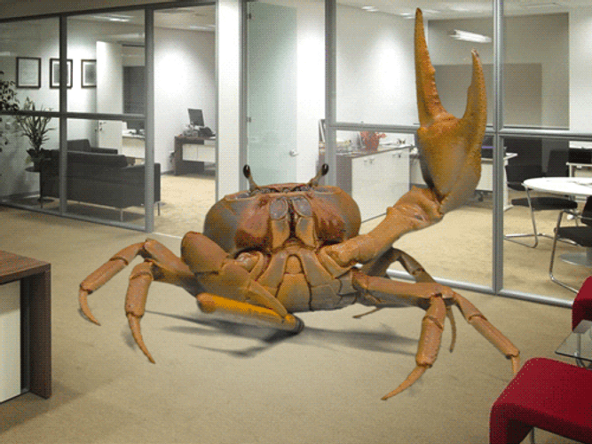 Crab Rave Office Company GIF