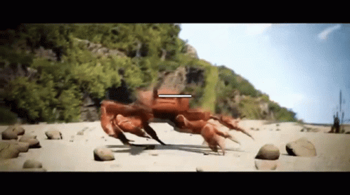 Crab Walking on Sandy Beach With Arrow Pointing