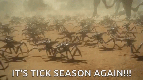 Crabs Walking In Dirt It's Tick Season Again GIF
