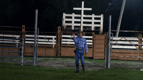 Crack The Universal Music Africa Whip GIF