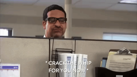Crack The Whip For You Now GIF