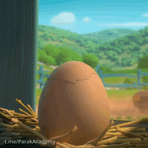 Cracked Egg in Nest