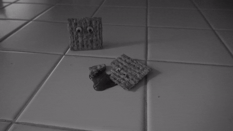 Cracker On The Floor GIF