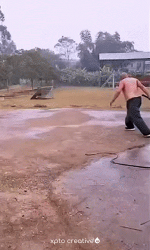 Cracking The Whip Hilarious Meme GIF