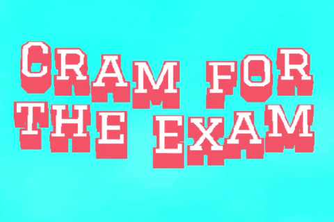 Cram For The Bar Exam Text Animation GIF