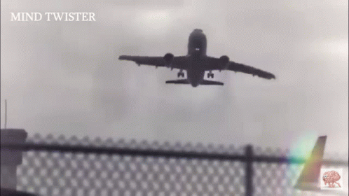 Crash 498 X 280 Gif GIF