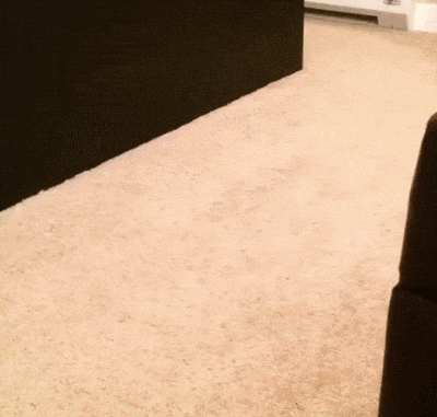 Crawling Belt Stop Motion Animation GIF