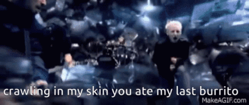 Crawling In My Skin You Ate My Last Burrito GIF