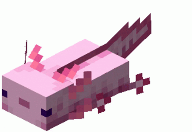 Crazy Axolotl In Minecraft GIF