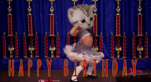 Crazy Birthday Dance Kitty Head GIF