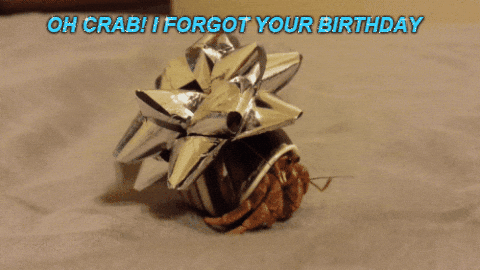 Crazy Birthday Gift Crab Gift Wrapped GIF