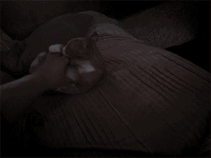 Crazy Cat Fighting With Human Hand GIF
