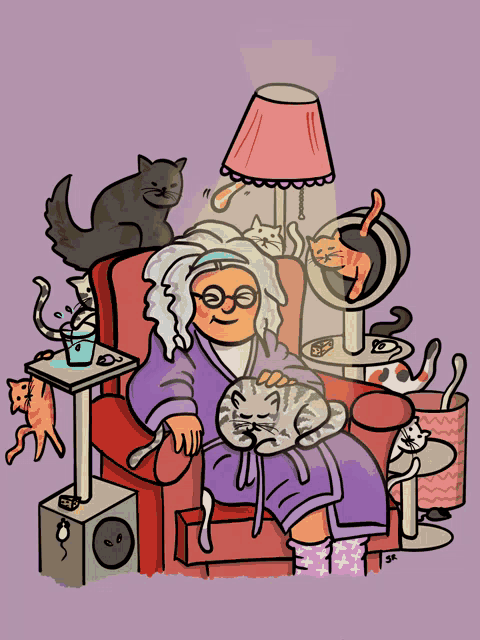 Crazy Cat Lady Happy Place Sabbinca Gif GIF