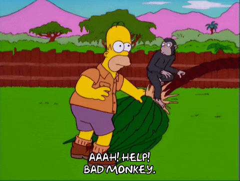 Crazy Chimp Jumping Onto Face Of Homer Simpson GIF