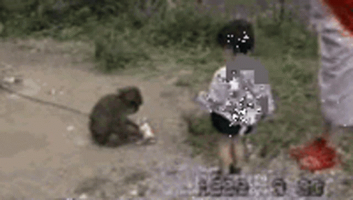 Crazy Chimp Kicking Child On Face GIF