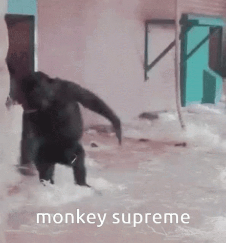Crazy Chimp Spinning Around Before Falling GIF