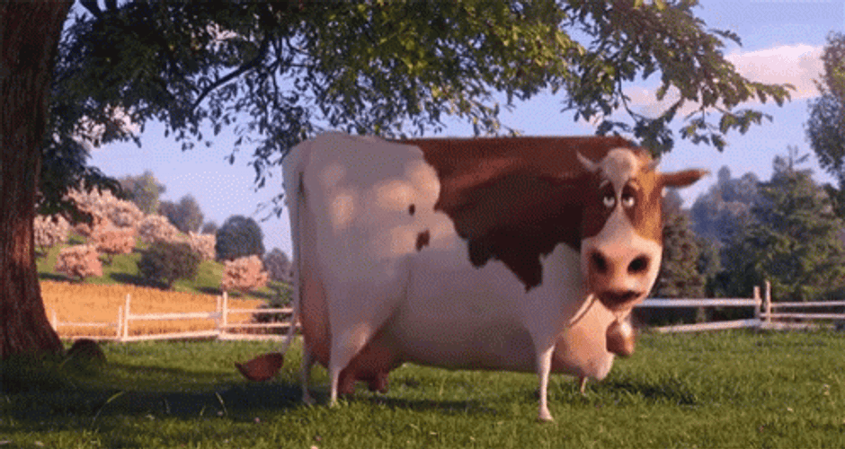Crazy Dancing Cow GIF