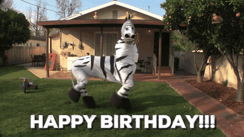 Crazy Dancing Zebra Happy Birthday GIF