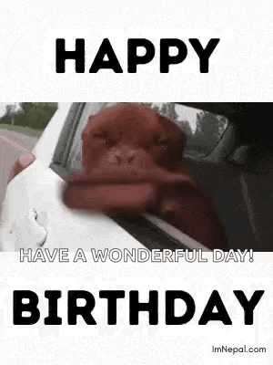 Crazy Dog Flapping Mouth Happy Birthday GIF