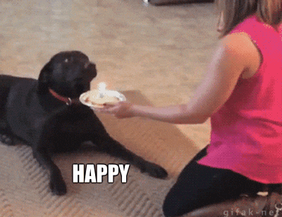 Crazy Dog Knocking Off Birthday Cake GIF