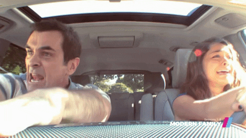 Crazy Driver 480 X 270 Gif GIF