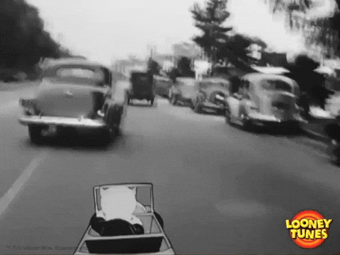 Crazy Driver Looney Tunes Porky Pig GIF