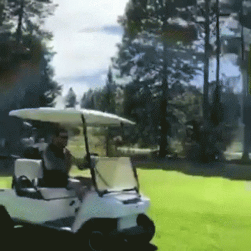 Crazy Driver Operating Golf Cart GIF
