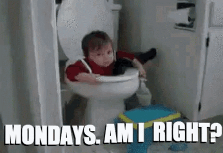 Crazy Monday Of Baby Sitting In The Toilet GIF