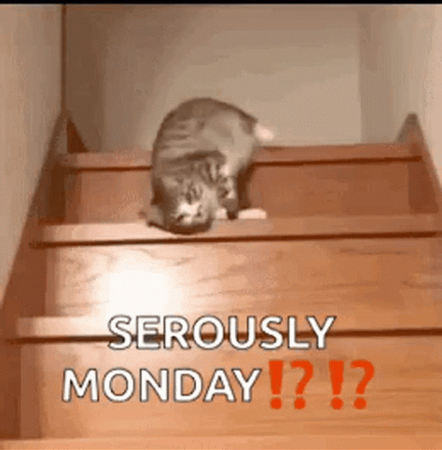 Crazy Monday Tired Cat On Stairs GIF