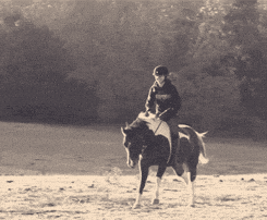 Crazy Running Pommel Horse GIF