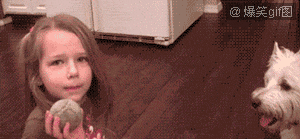 Creative Tooth Extraction Girl Missing Her Teeth After Dog Fetch GIF