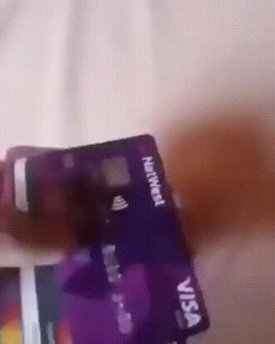 Tossing Credit Cards On Bed GIF