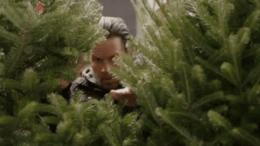 Creep Fine Tree Johnny Rose GIF