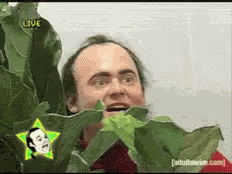 Creeper Behind Plants GIF
