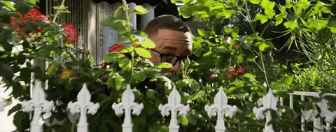 Creeper Larry June GIF